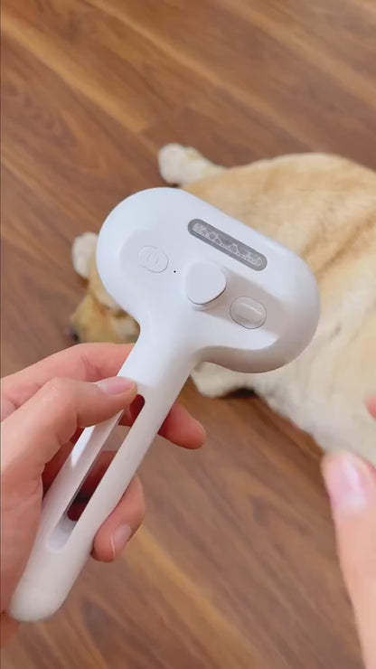 Woraka 3-in-1 Steam Pet Brush