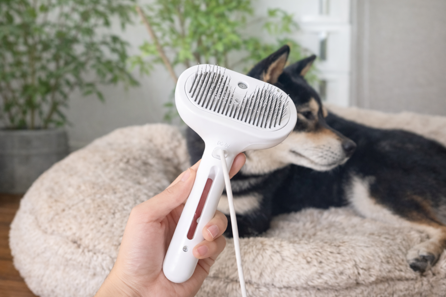 Woraka 3-in-1 Steam Pet Brush
